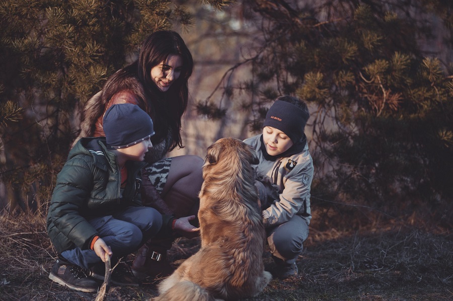 dog with family