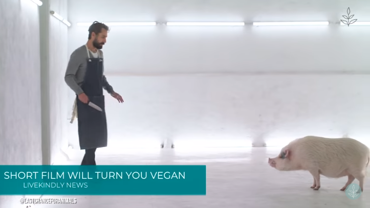 vegan