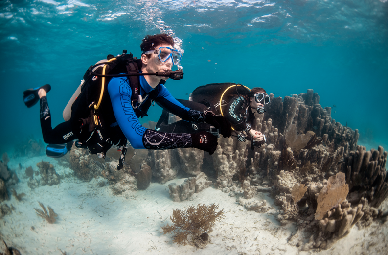 Αστική Ευθύνη Παρόχου Καταδυτικών Υπηρεσιών Αναψυχής!