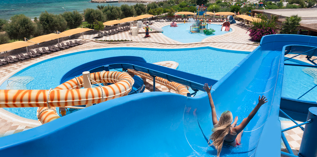 Θαλάσσια Πάρκα και Ασφάλιση: Όλα Όσα Πρέπει να Ξέρει Ένας Επιχειρηματίας