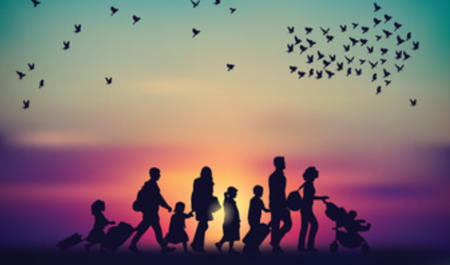 The Best Immigrant Insurance in Greece | Wise Daedalus