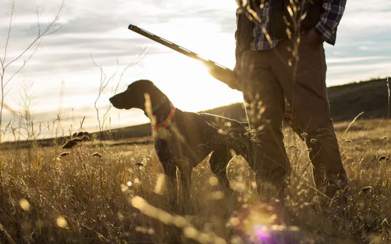 Ομαδική Ασφάλιση Κυνηγετικών Συλλόγων: Προστασία, Υπευθυνότητα και Σιγουριά στο Κυνήγι