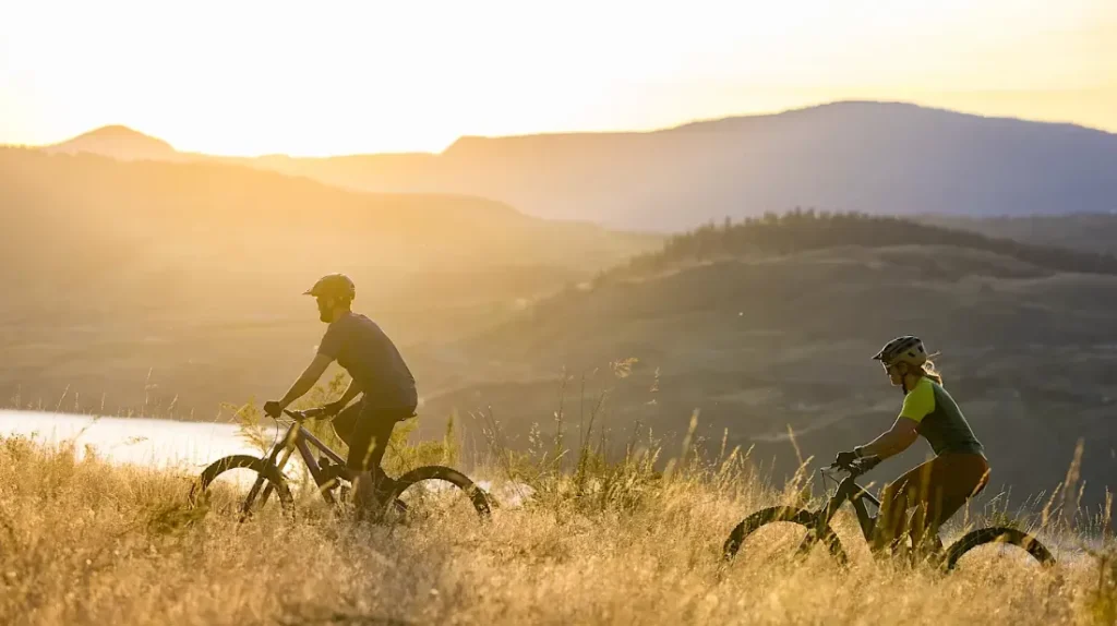 Ασφάλιση Ποδηλάτου: Γιατί η Wise Daedalus είναι ο ιδανικός σας σύμμαχος στον δρόμο