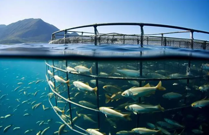 Αστική ευθύνη ιχθυοτροφείου: γιατί είναι κρίσιμη και τι πρέπει να καλύπτει ένα σωστό πρόγραμμα