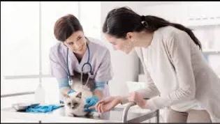 Αστική Ευθύνη Κτηνιάτρων με τη Wise Daedalus: Η Επαγγελματική Θωράκιση που Απαιτεί το Λειτούργημά σας