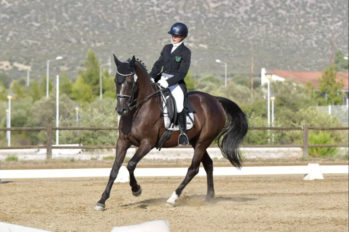 Ασφάλιση Ιππικών Σωματείων: Επένδυση στην Ασφάλεια, τη Φήμη και τη Βιωσιμότητα με τη Wise Daedalus