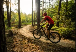 Πρέπει ένας ιδιοκτήτης ποδηλάτου / e-bike να έχει ασφάλιση; Η Wise Daedalus απαντά!
